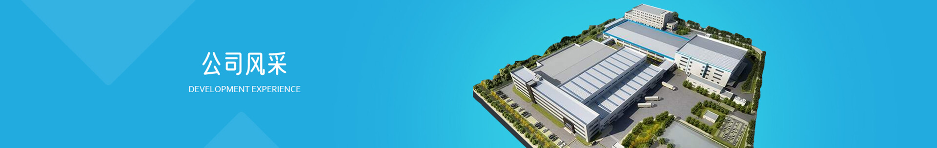 公司风采